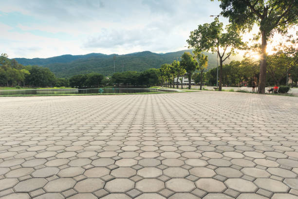 Best Interlocking Driveway Pavers  in Roberta, GA